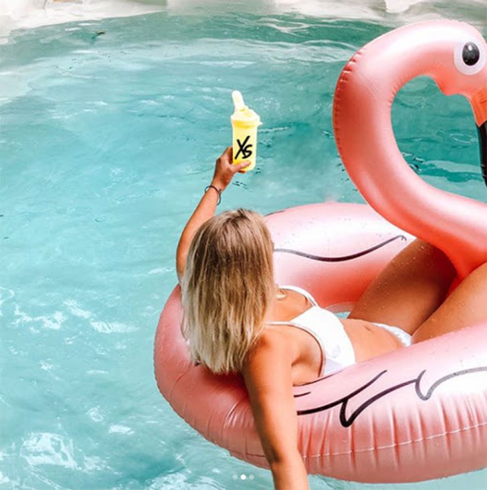 Flamingo Badering Rosegull