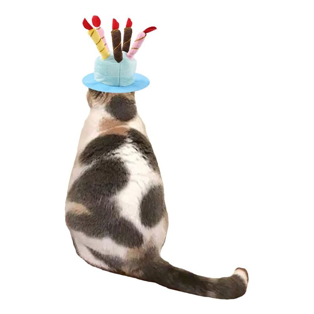 Födelsedagshatt för Katt