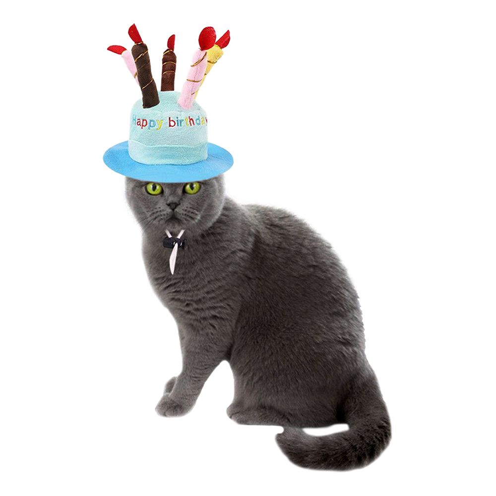 Födelsedagshatt för Katt