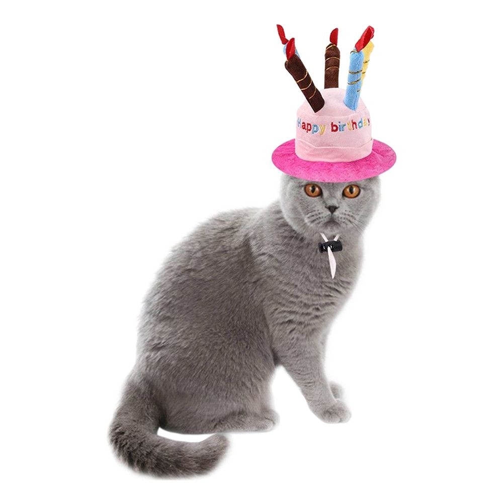 Födelsedagshatt för Katt