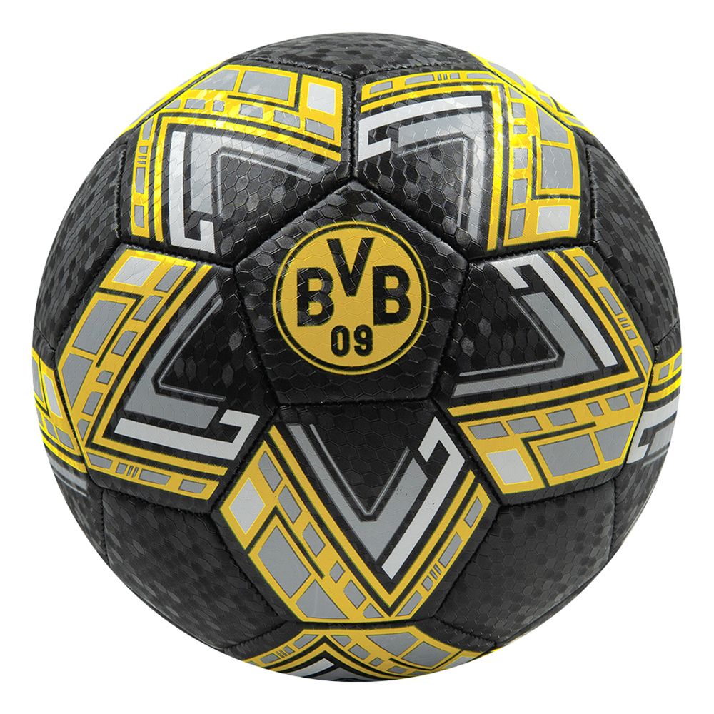 Fodbold Borussia Dortmund