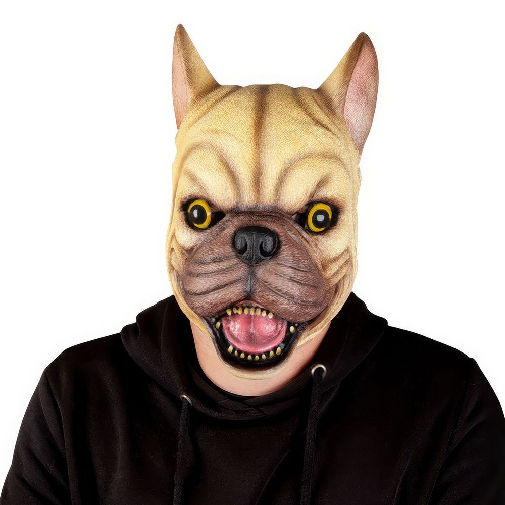 Fransk Bulldog Latexmask