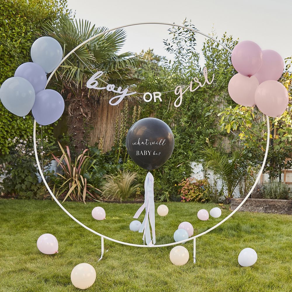 Gender Reveal Kit