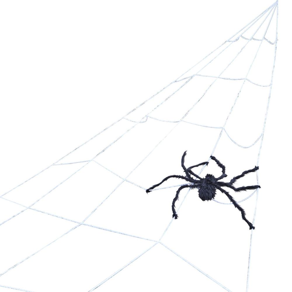 Giant Spider Web