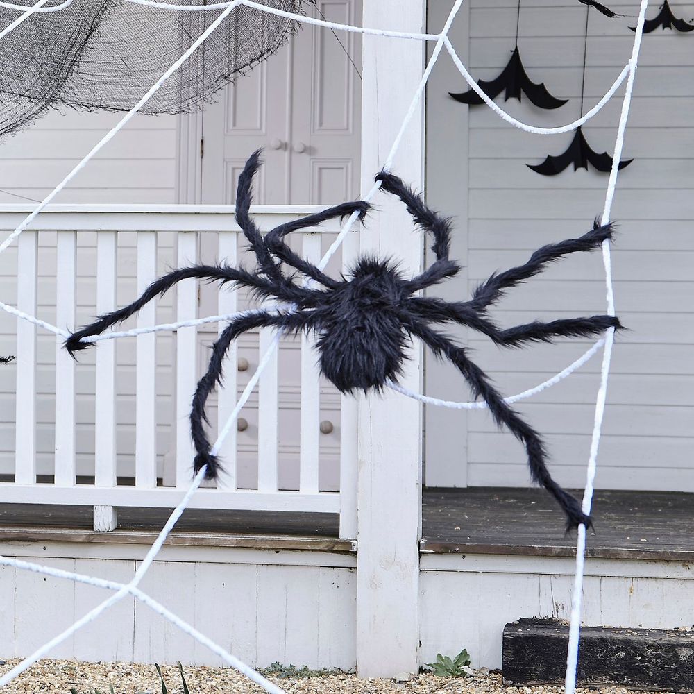 Giant Spider Web