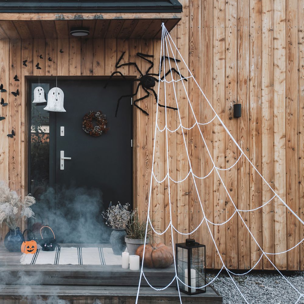 Gigantisk Spindelvæv