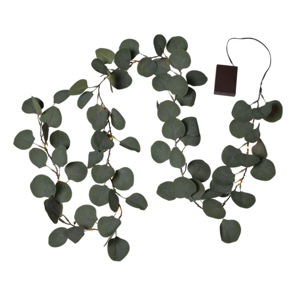 Köynnös Eukalyptus LED
