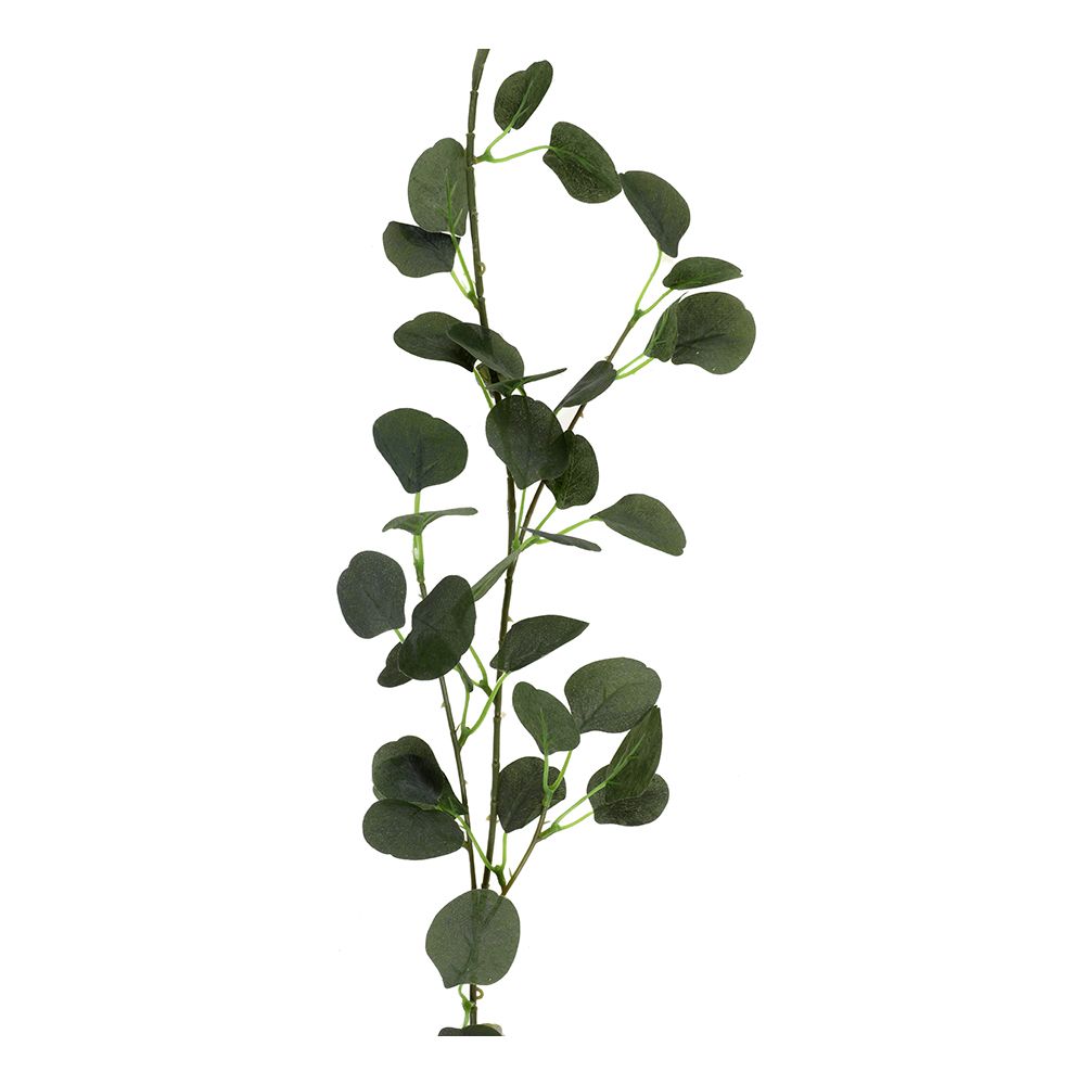 Girlander Eukalyptus
