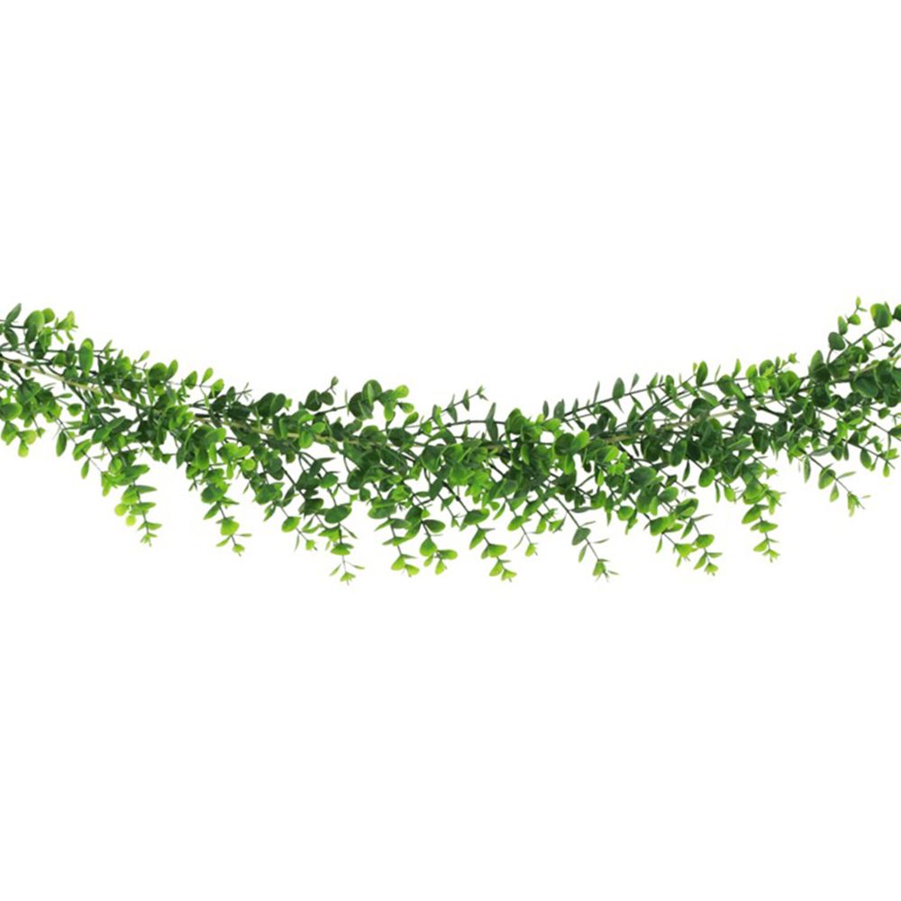 Guirlande Eukalyptus