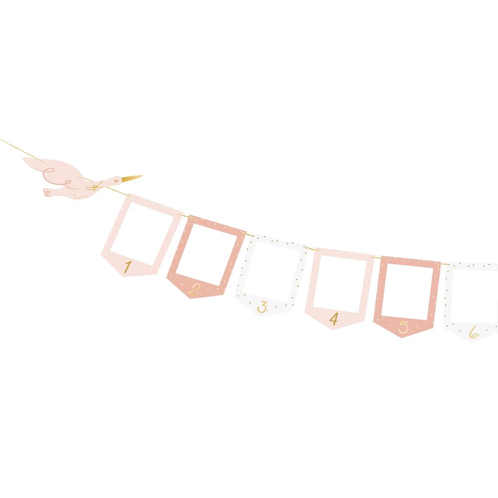 Girlander Bilderammer Baby Roségull