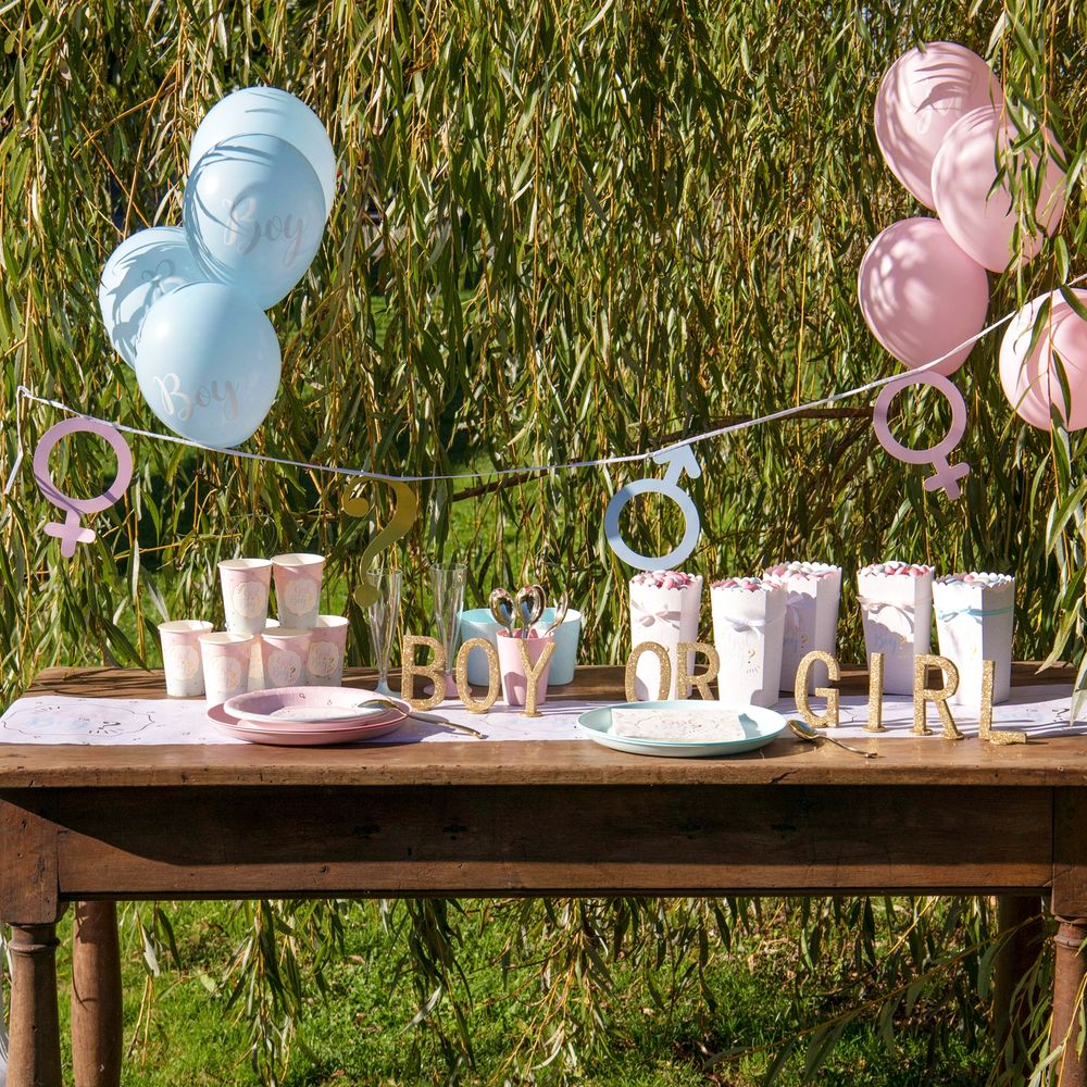 Girlang Gender Reveal Boy or Girl
