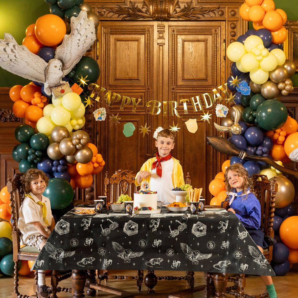 Viirinauha Harry Potter™ Happy Birthday