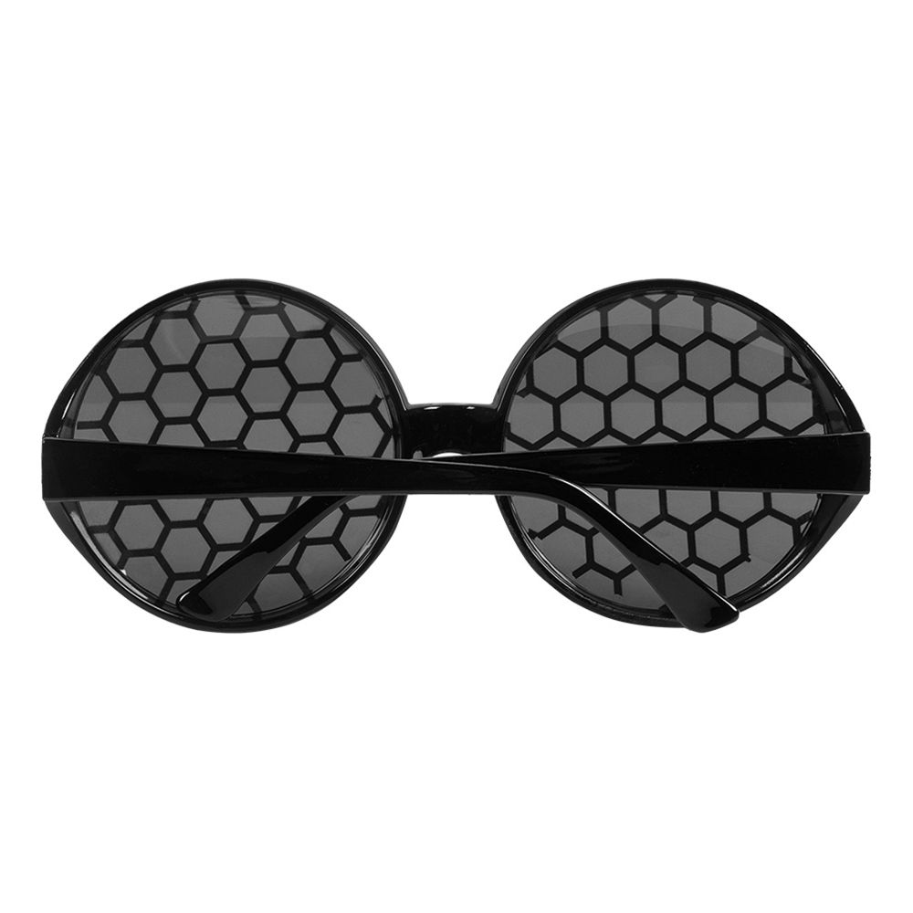 Glasögon Fluga
