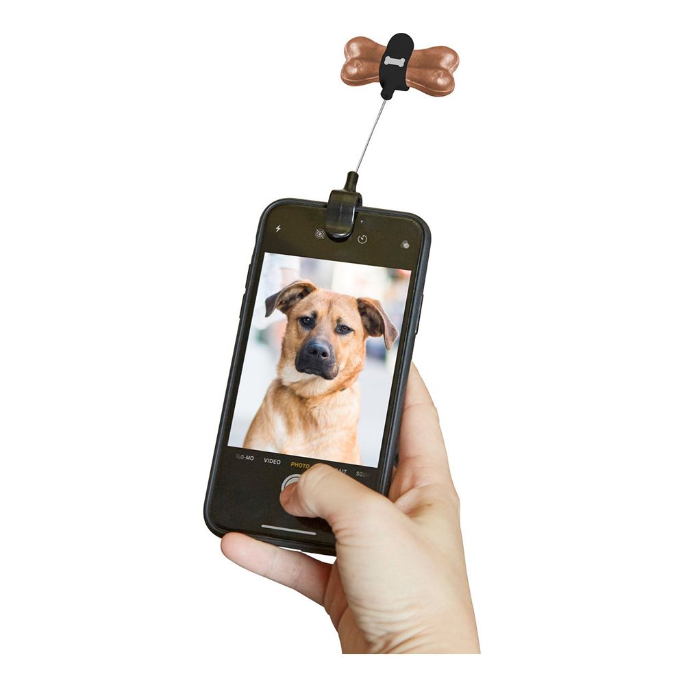 Godishållare för Hund Selfies