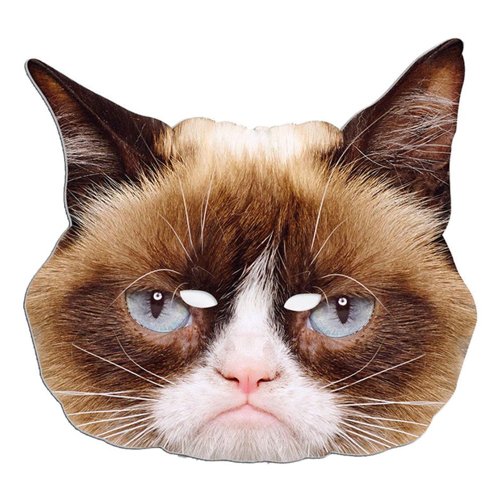 Grumpy Cat Pappmaske