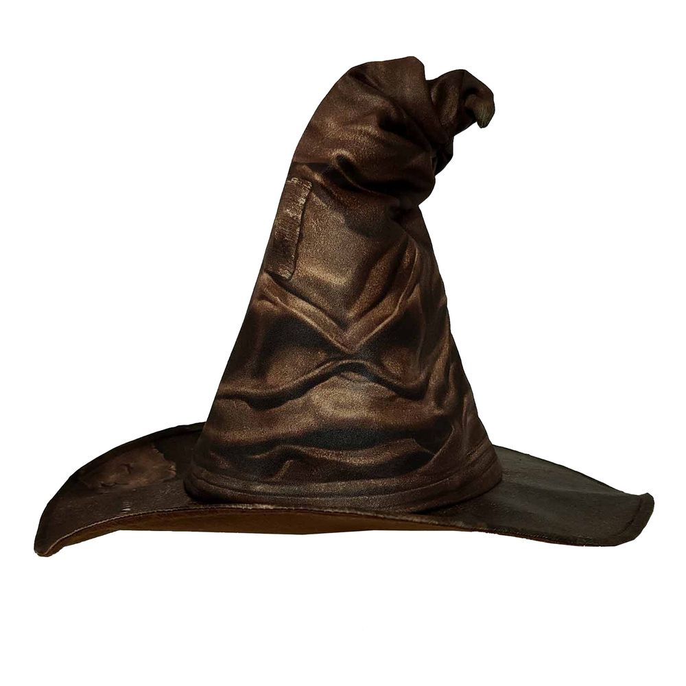 Harry Potter Valghatt