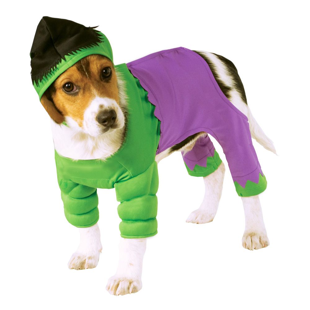 Hulken Hund Kostyme