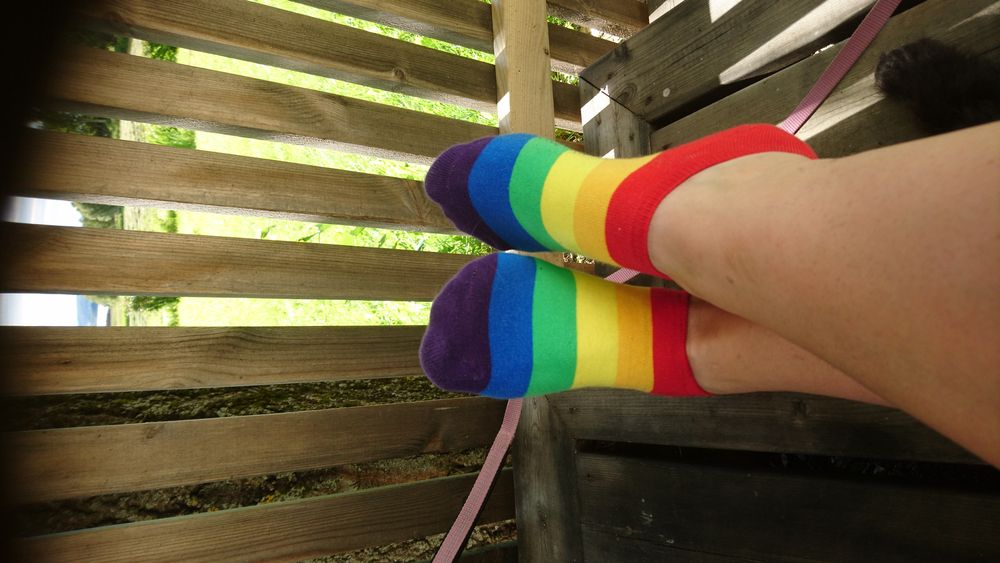 Ankelstrumpor Pride