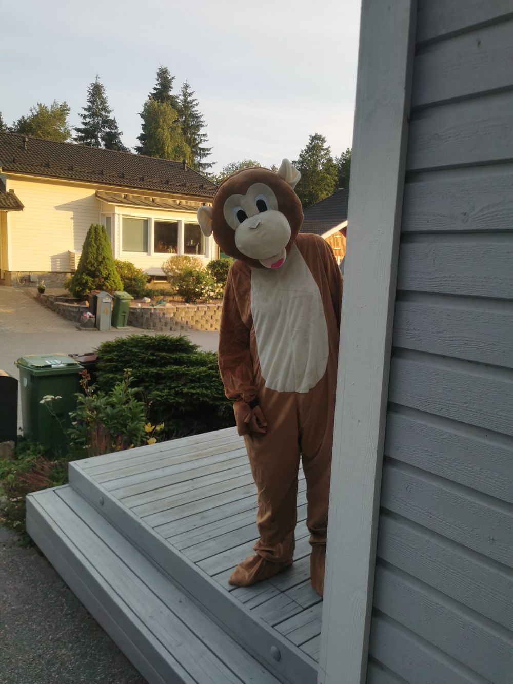 Apemaskot Kostyme