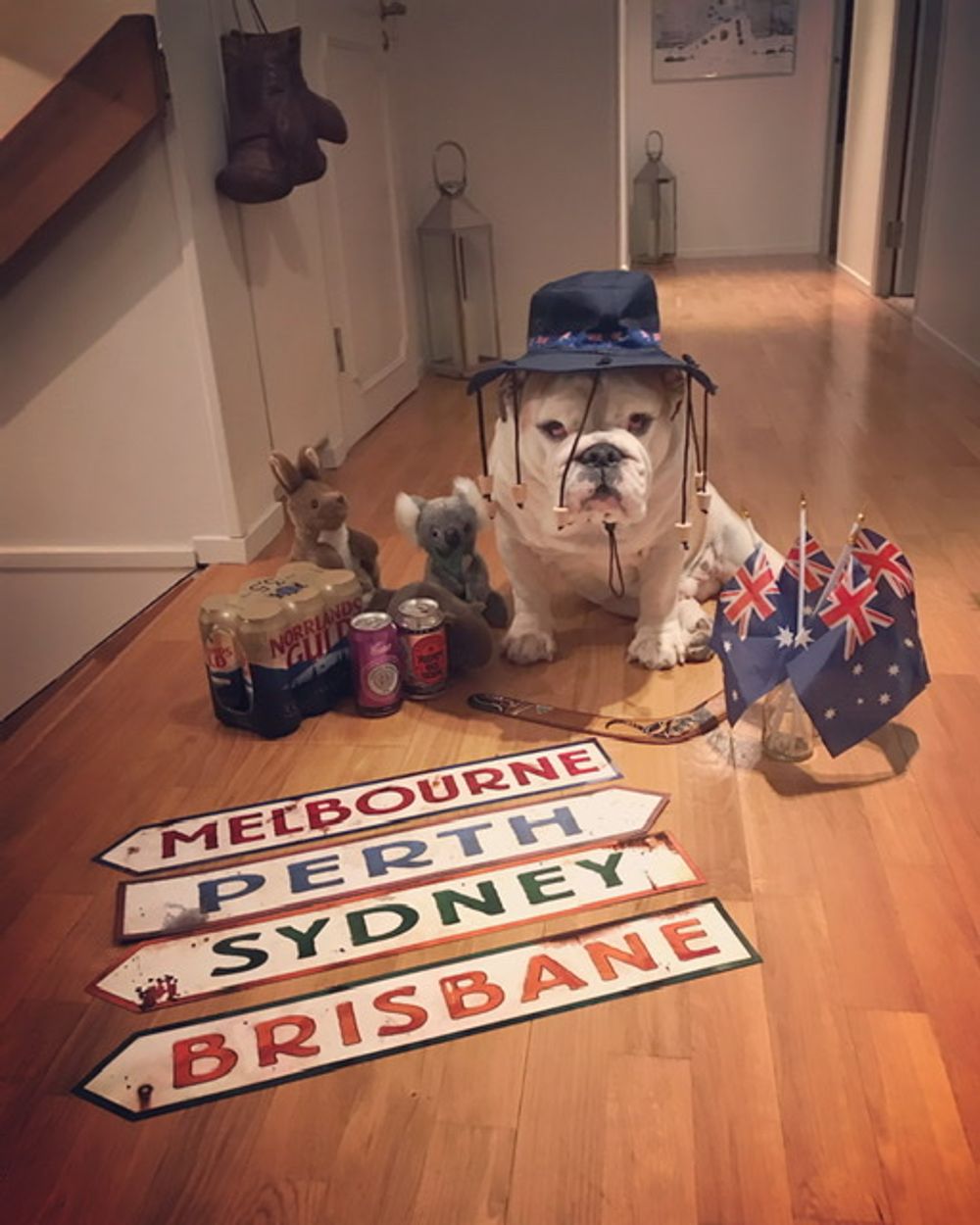 Australske Veiskilt Dekorasjon