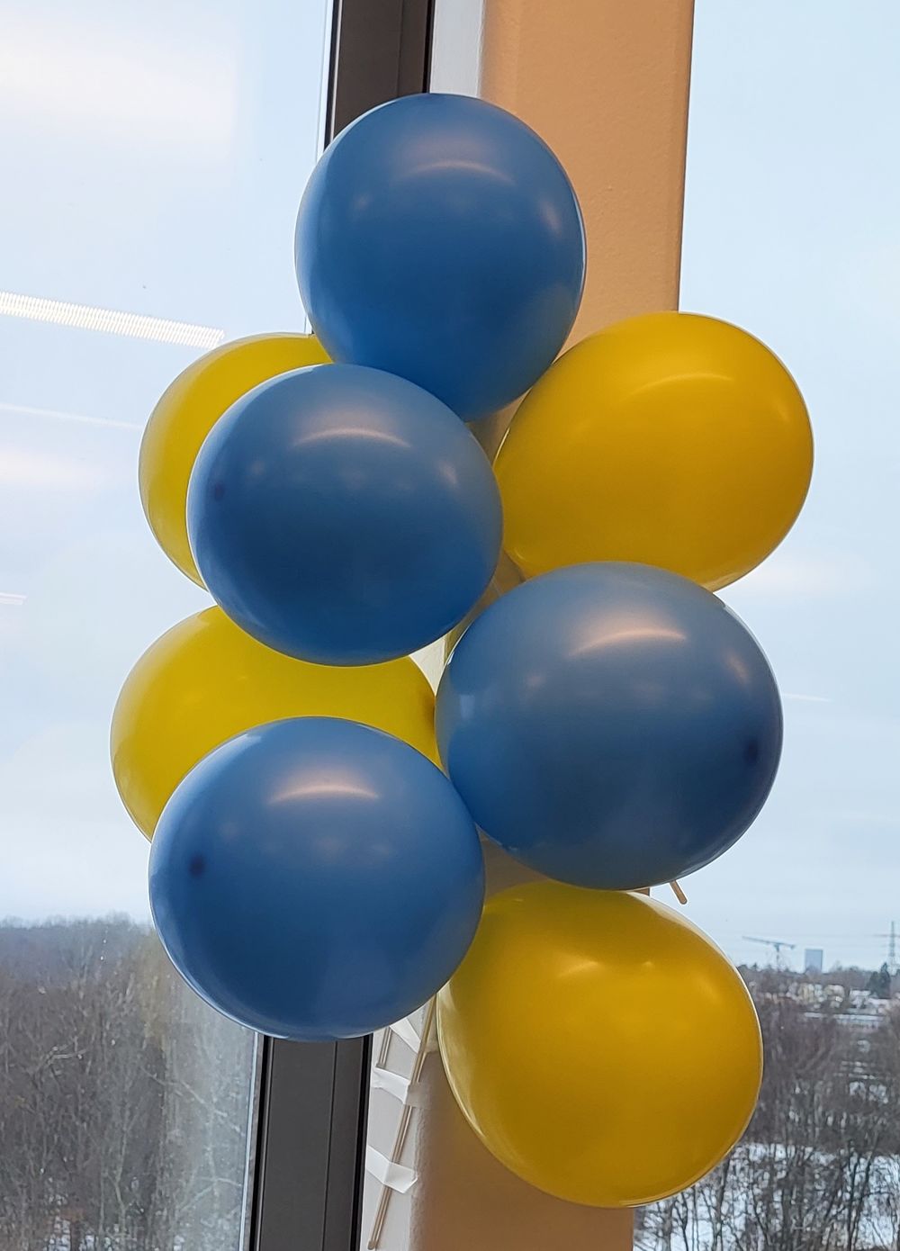 Ballongkombo Blå/Gul