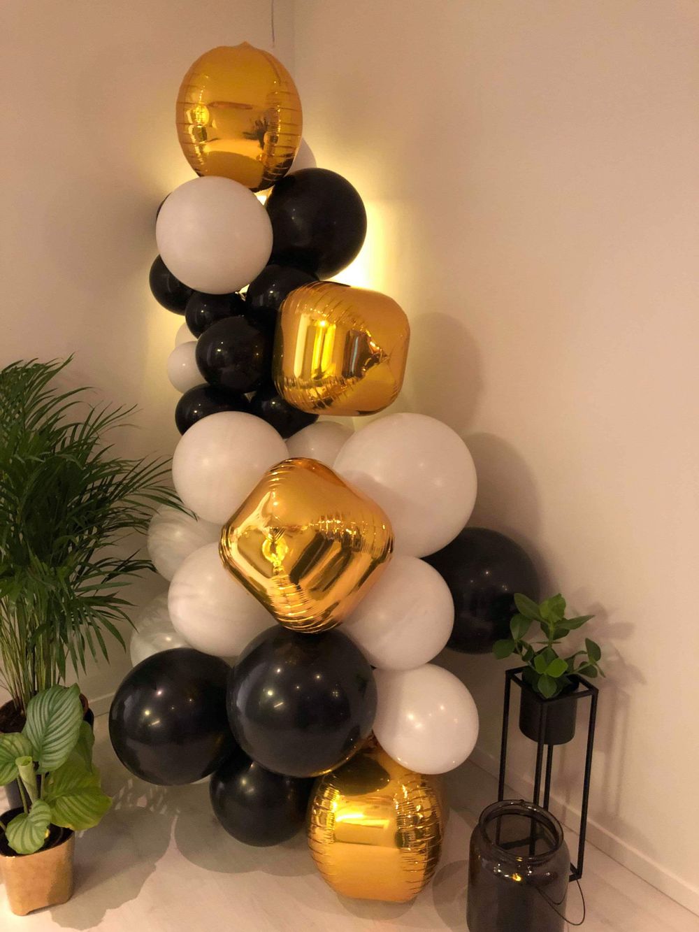 Balloner Sorte