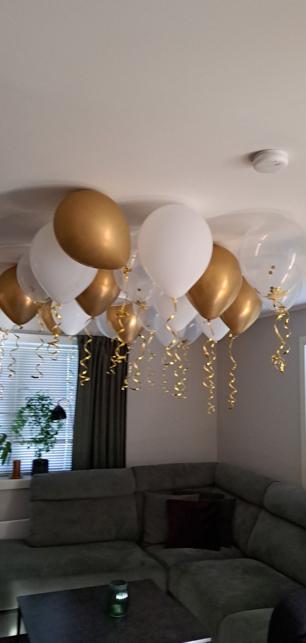 Takballonger Guld