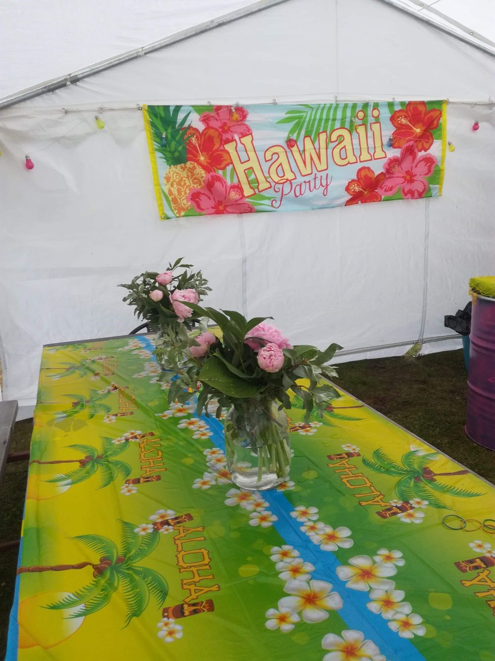 Banner Hawaii Party