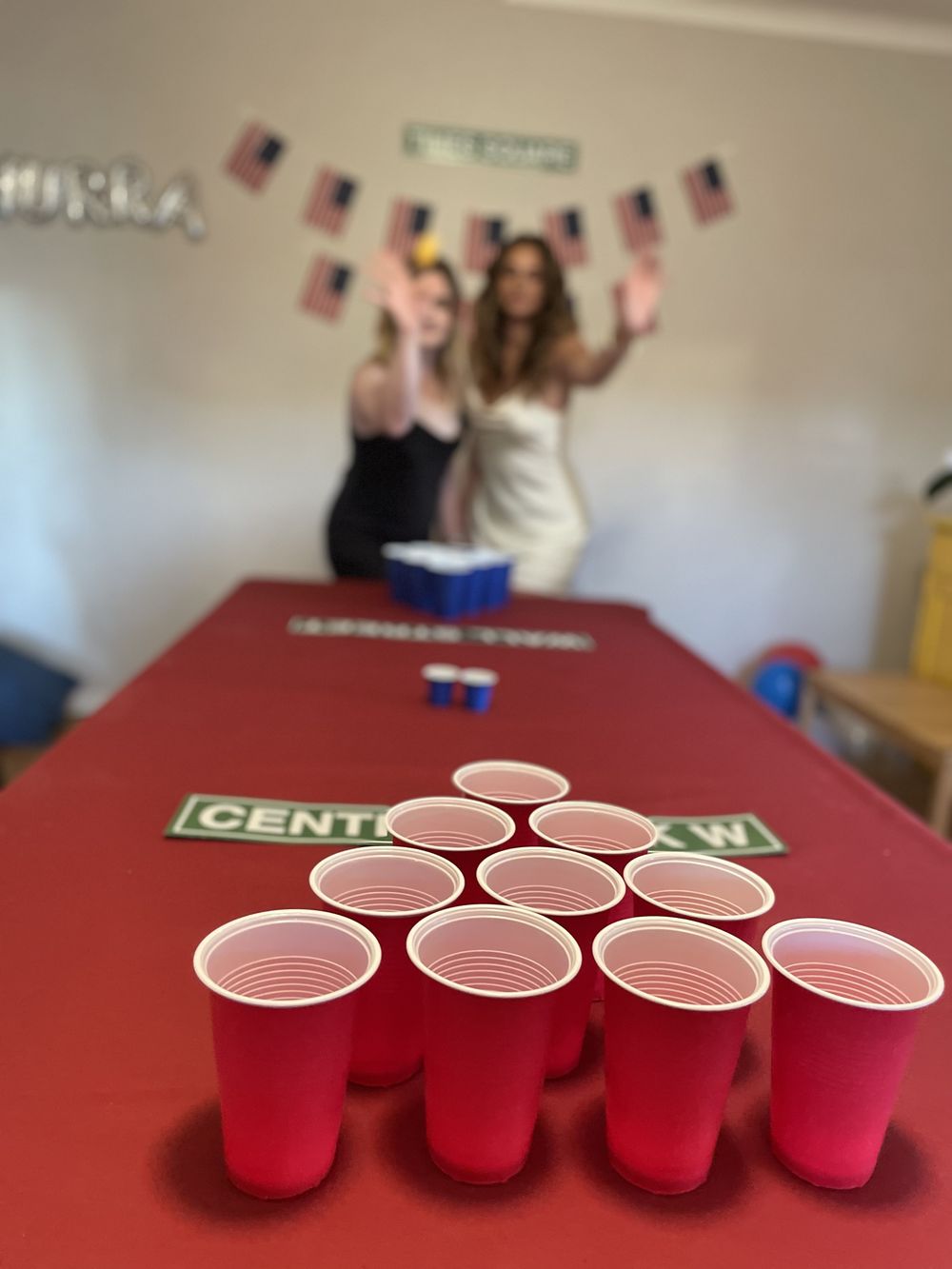 Beer Pong -setti