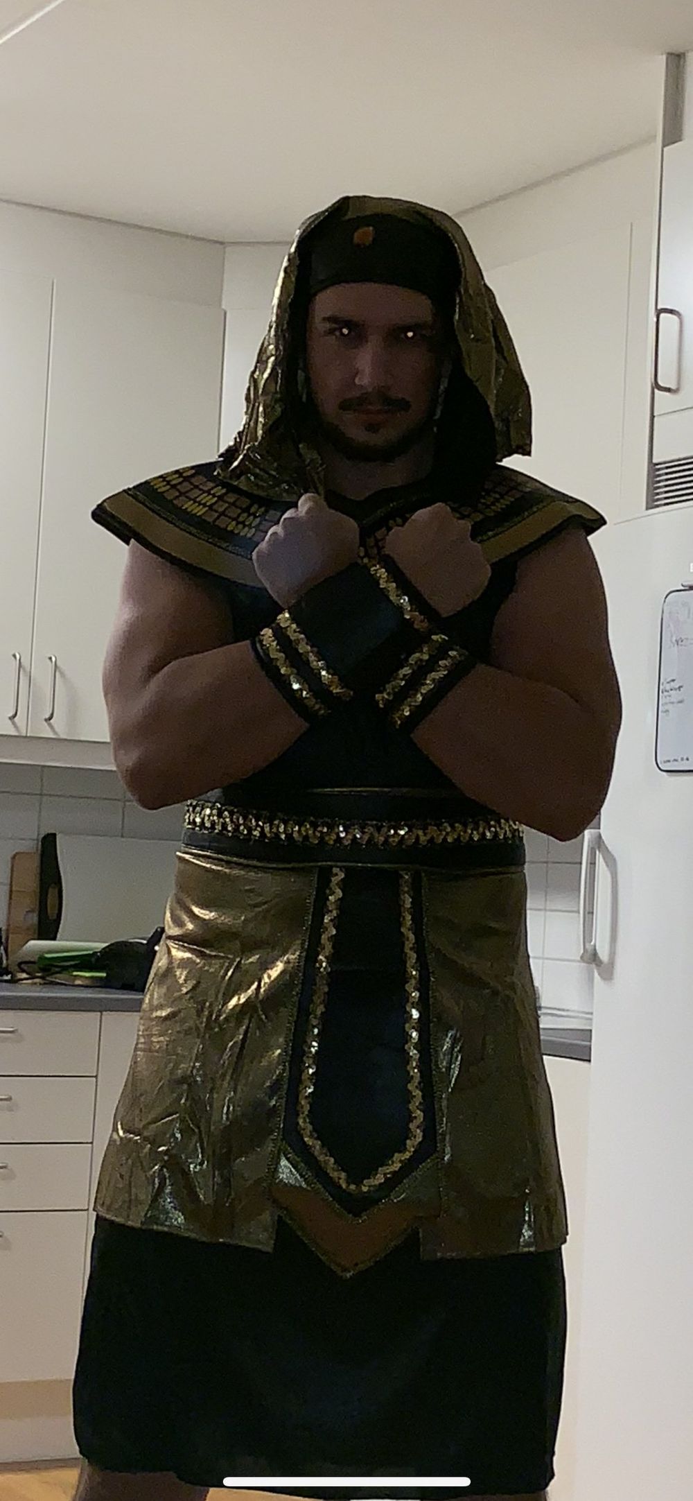 Egyptisk Konge Lang Drakt