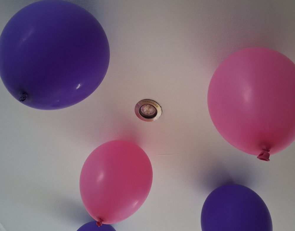 Festeputer