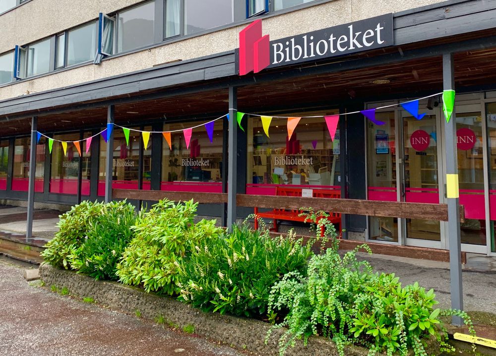 Vimpelgirlang Flerfärgad