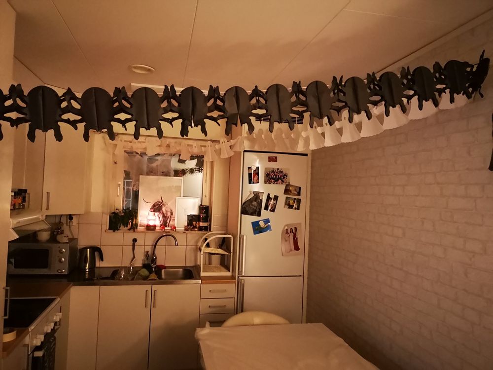 Halloween Partykit