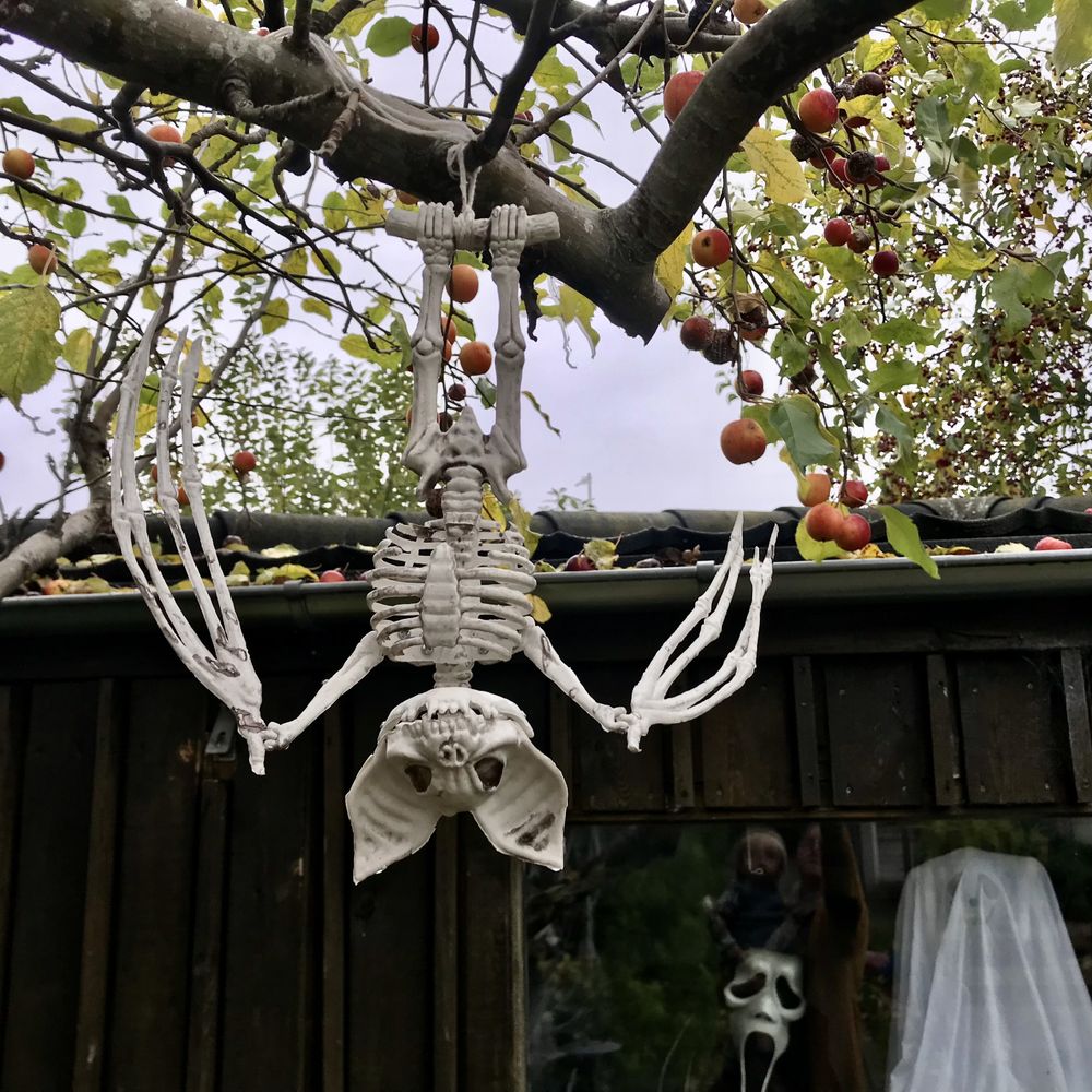 Hængende Skeletflagermus Prop