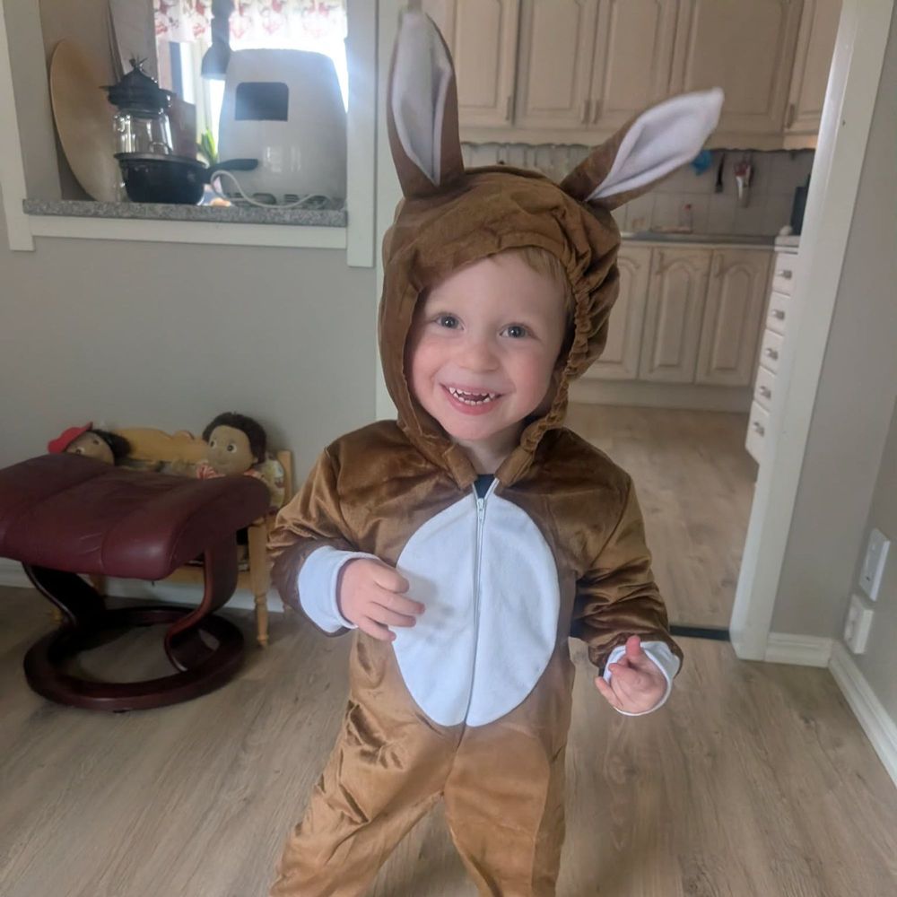 Hare Jumpsuit Børnekostume