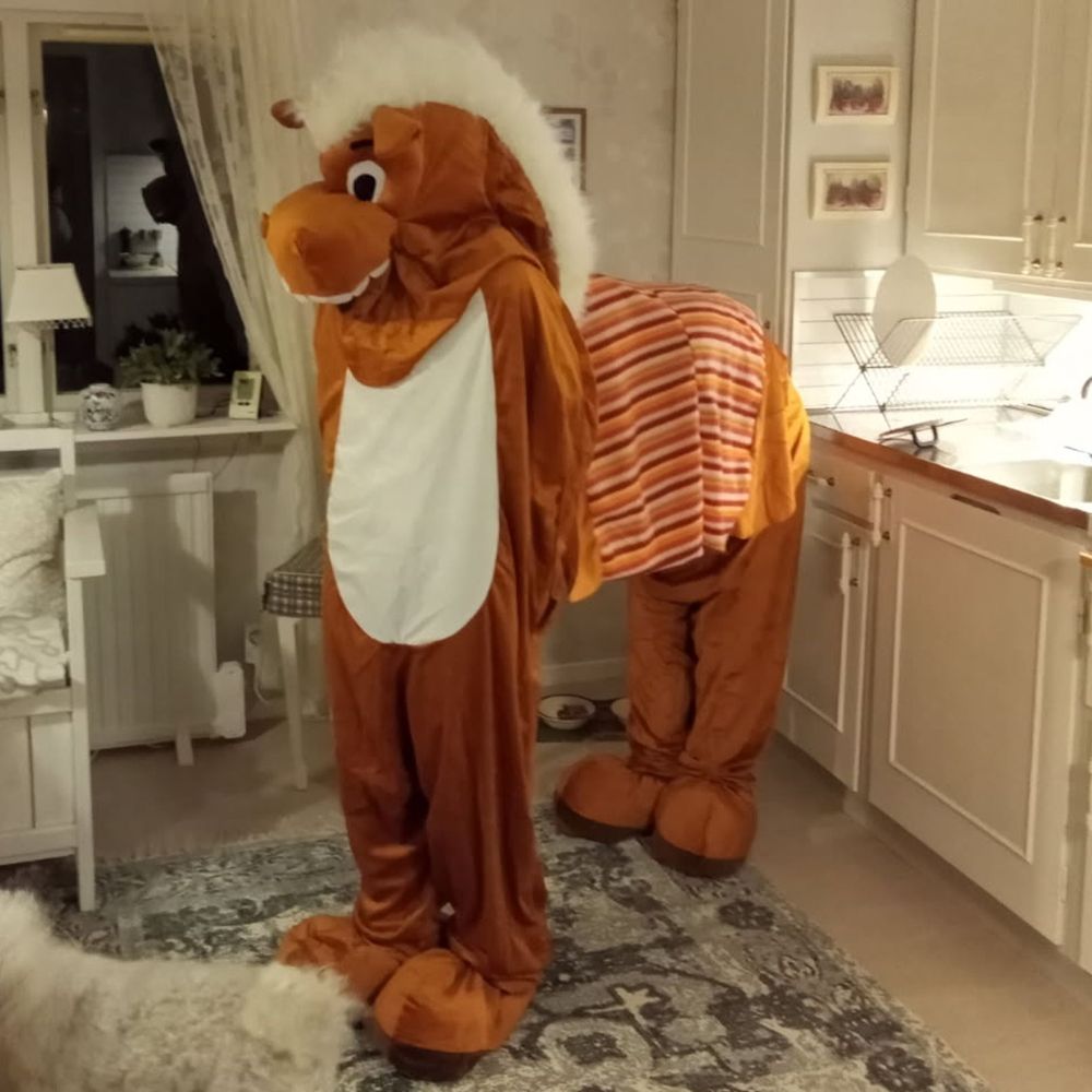 Häst för Två Maskeraddräkt