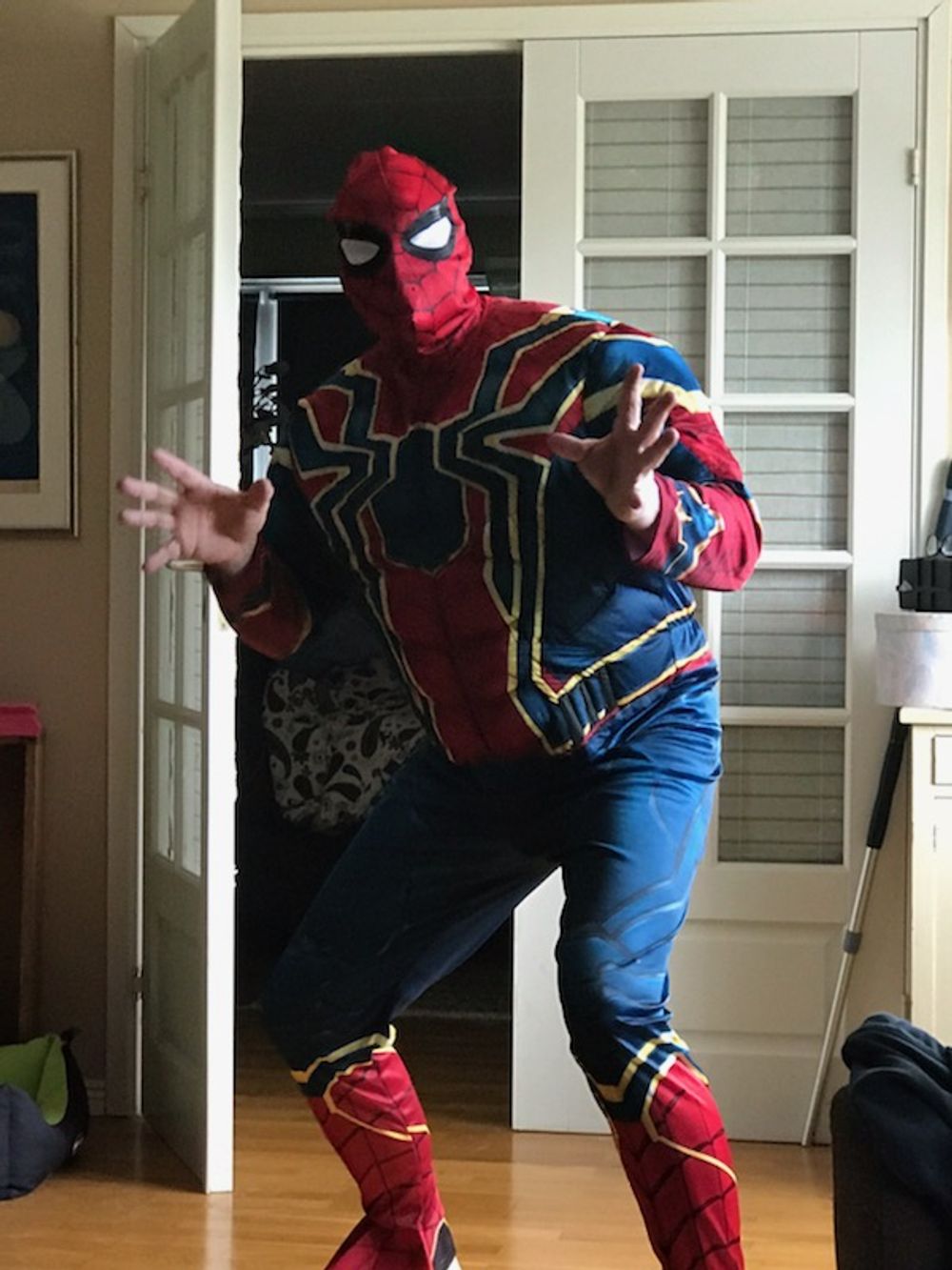 Iron Spiderman Kostume Deluxe
