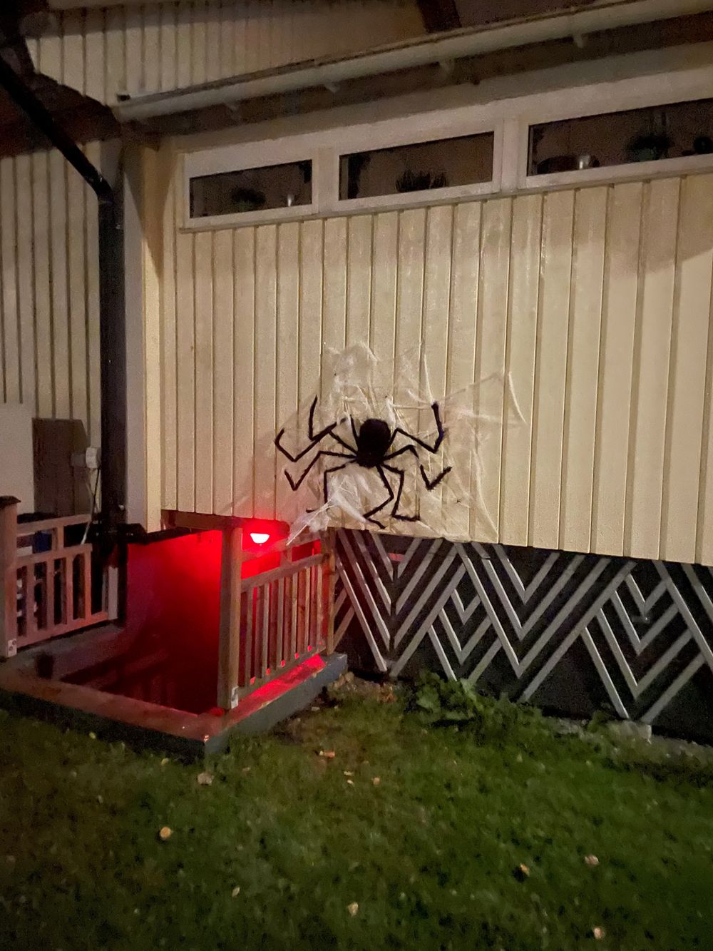 Jättihämähäkki