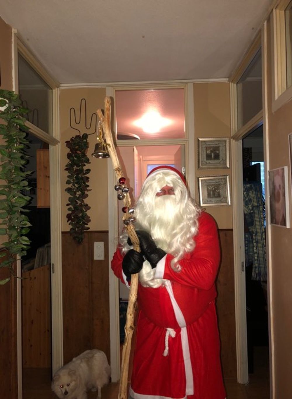 Julenisseskjegg og Parykk