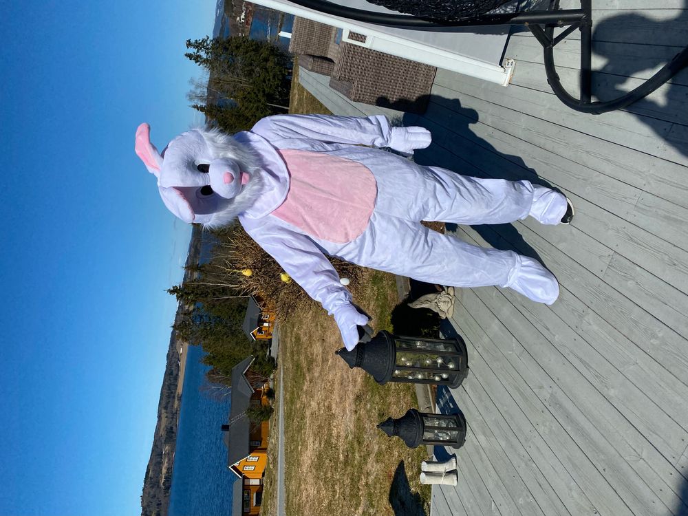 Kaninmaskot Kostume