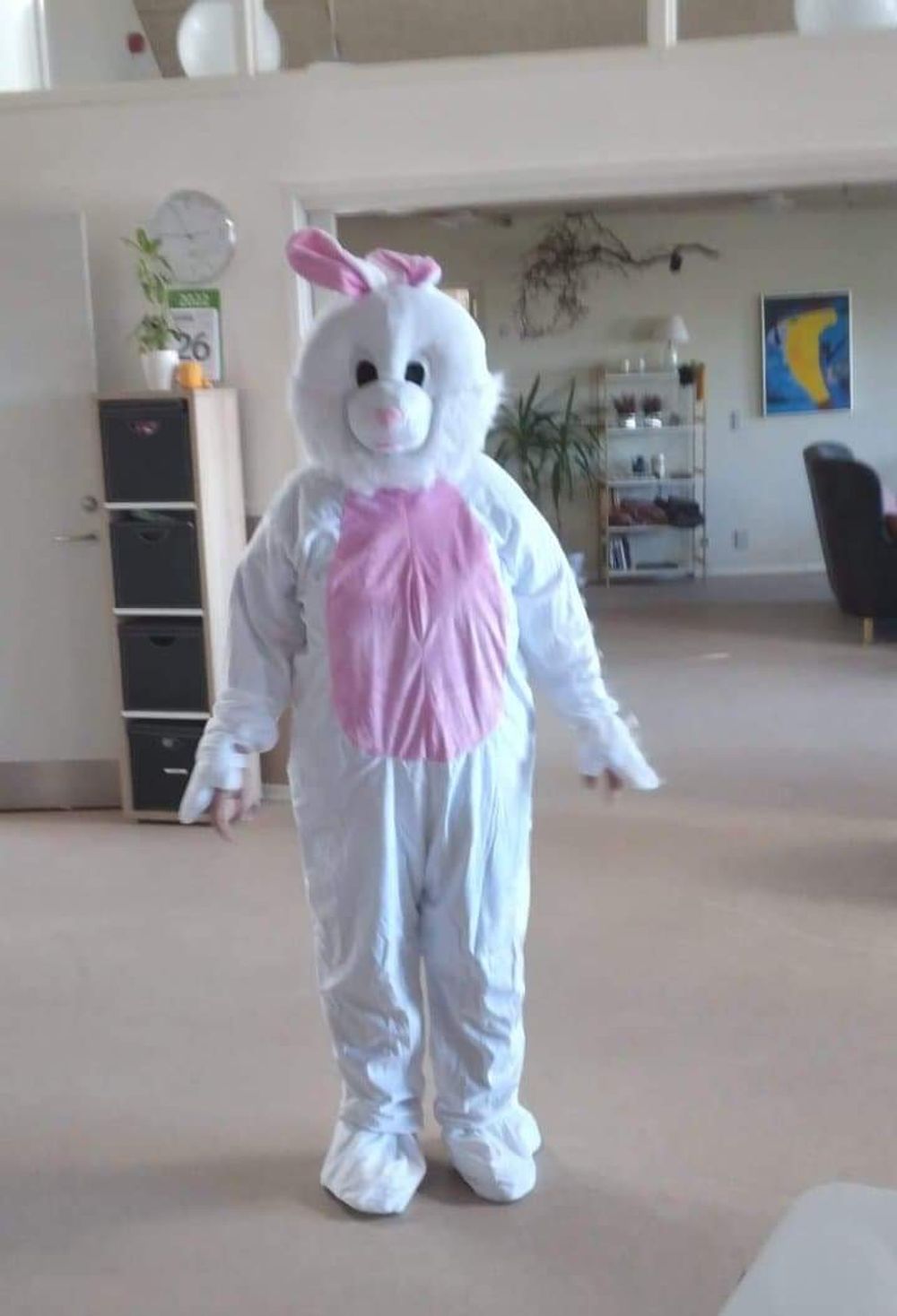 Kaninmaskot Kostume