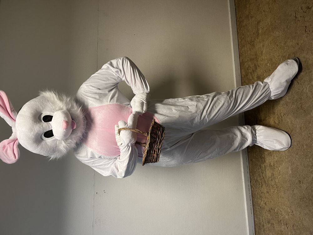 Kaninmaskot Kostume
