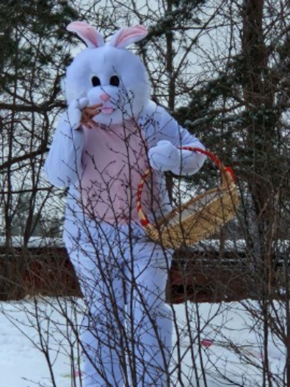 Kaninmaskot Kostume