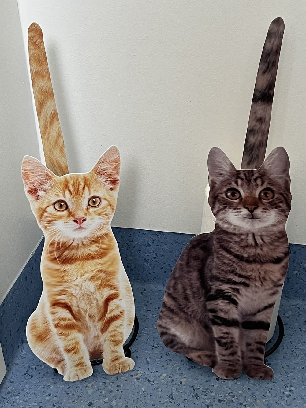 Kissa WC-paperiteline