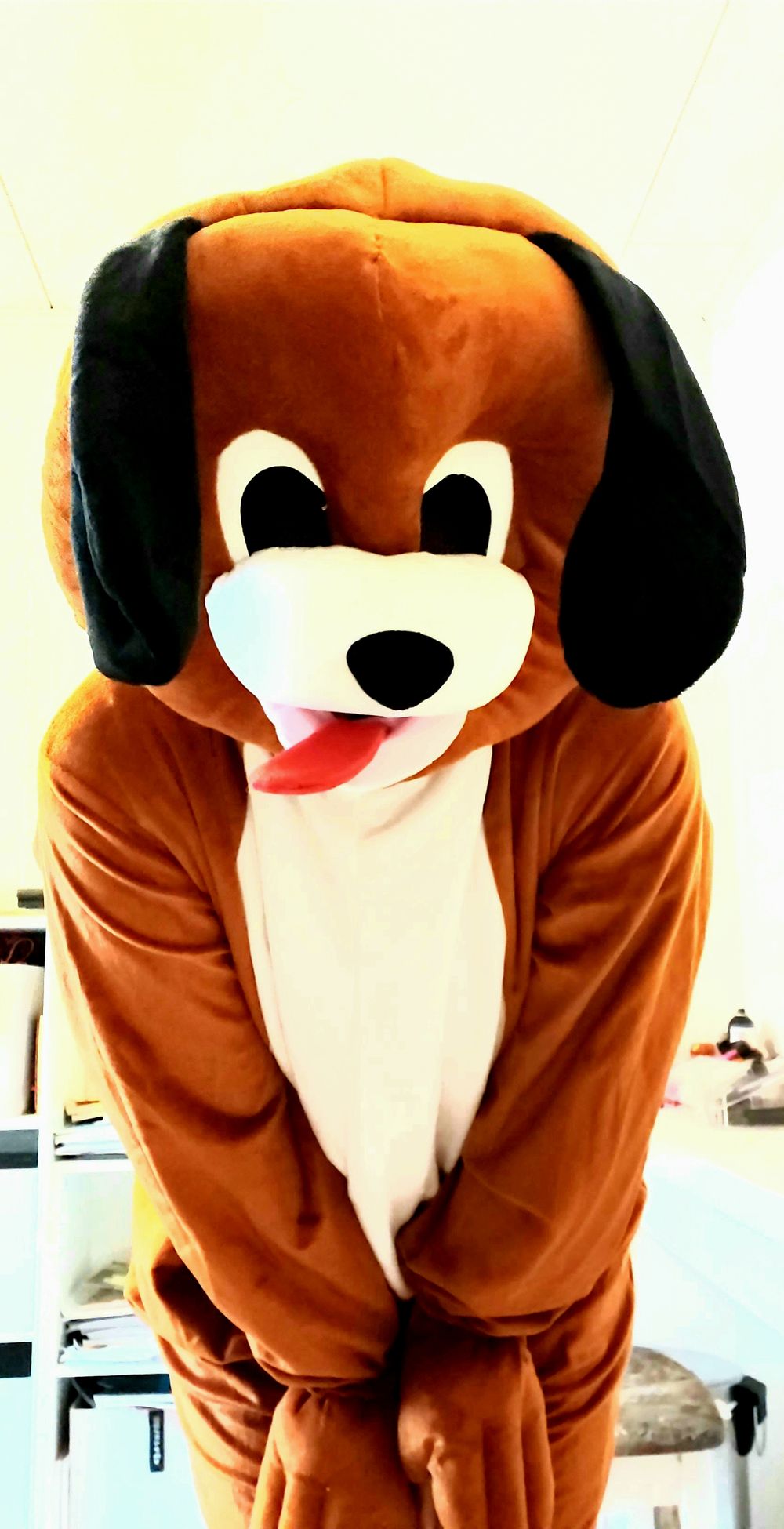 Hundemaskot Kostyme