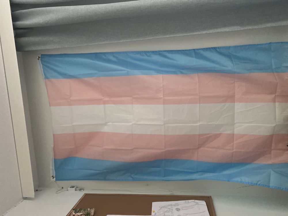 Flagga Transgender