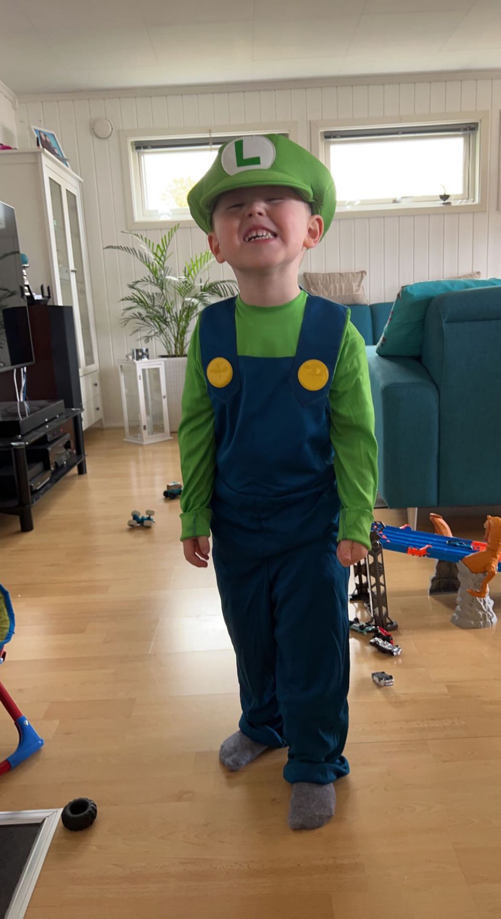 Luigi Børnekostume