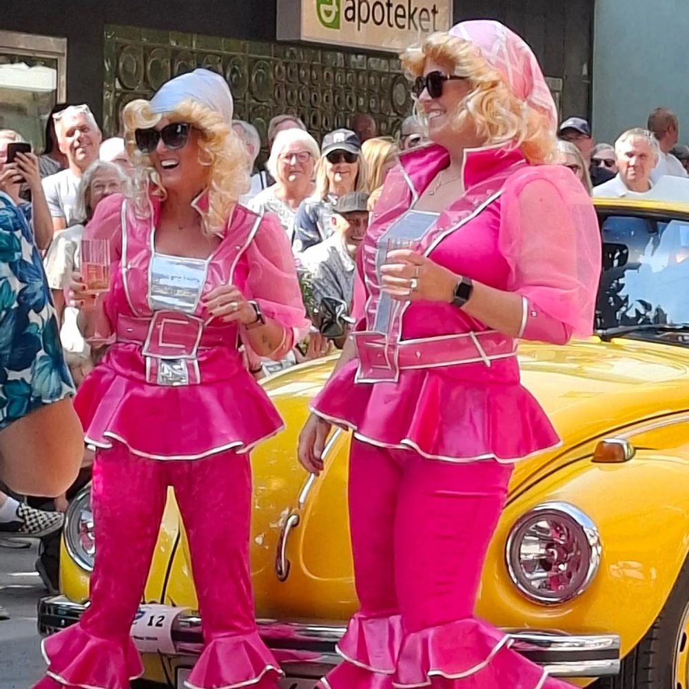 Mama Mia Rosa Maskeraddräkt