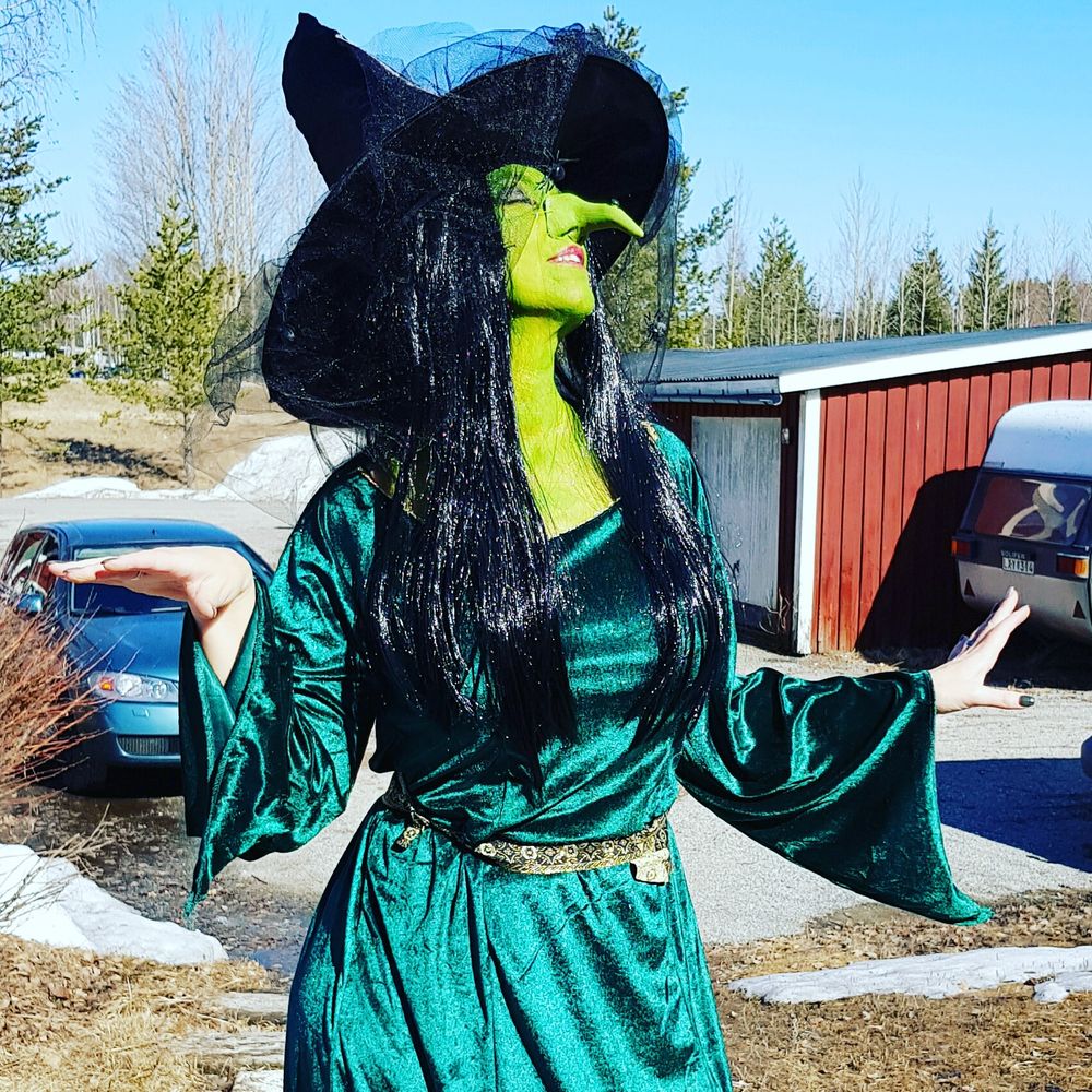 Middelalder Maid Kostyme