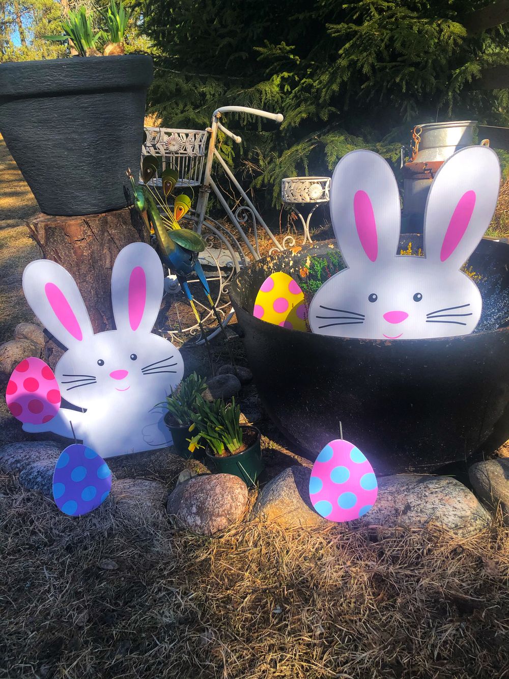 Eggejakt Hageskilt